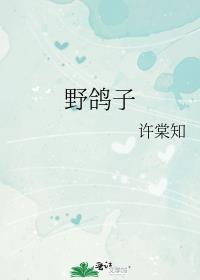 野鸽子叫什么名字