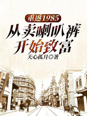 重返1985:从卖喇叭裤开始致富 小说